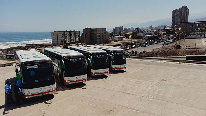 Marcopolo Transportes